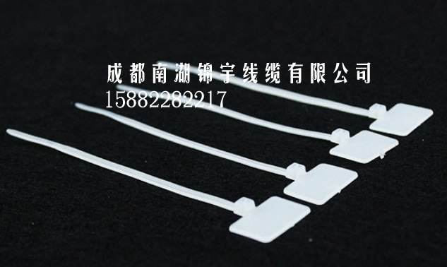 標(biāo)牌扎帶 電纜 電線 網(wǎng)線標(biāo)簽固定 標(biāo)簽扎帶 塑料扎線帶
